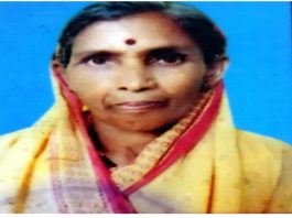 शेतात खुरपणीसाठी गेलेल्या वृद्ध महिलेला वाघाने केले ठार