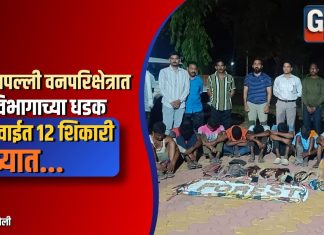 आलापल्ली वनपरिक्षेत्रात वनविभागाच्या धडक कारवाईत १२ शिकारी ताब्यात