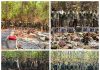 माओवाद्यांचा शस्त्रास्त्र निर्मिती कारखाना उद्ध्वस्त गडचिरोली पोलिसांची नारायणपूर पोलिसांसोबत संयुक्त कारवाई; मोठा शस्त्रसाठा जप्त
