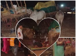 न्यायासाठी लढणाऱ्या अन्नदात्यांना उघड्या आकाशाखाली रात्र; आंदोलनस्थळीच शेतकरी कुटुंबांचा मुक्काम