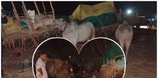 न्यायासाठी लढणाऱ्या अन्नदात्यांना उघड्या आकाशाखाली रात्र; आंदोलनस्थळीच शेतकरी कुटुंबांचा मुक्काम